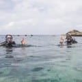 Divewise - Malta Discount Card - Diving Guide - Malta & Gozo Holidays and Local Discount Pass - Tourism map