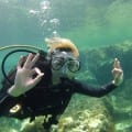 Divemed - Malta Discount Card - Diving Guide - Malta & Gozo Holidays and Local Discount Pass - Tourism map