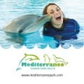 Mediterraneo Marine Park - Maltapass top attractions Guide - malta discount card - malta and gozo holiday guide 16