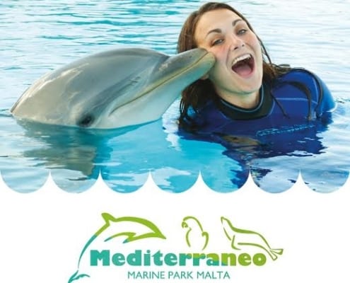 Mediterraneo Marine Park - Maltapass top attractions Guide - malta discount card - malta and gozo holiday guide